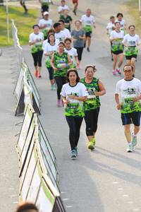 BIB: 
                            <button type="button" onclick="openModal(3540320)" class="btn btn-primary btn-sm float-right btn-popup" data-toggle="modal" data-target=".modal-high-quality">
                        <i class="fas fa-shopping-cart"></i> Add to Cart
                    </button>
                                            <button type="button" onclick="isThisMe(3540320, true)" class="btn btn-success btn-sm float-right btn-popup btn-isme hidden" data-toggle="tooltip" data-placement="bottom" title="นี่คือรูปของคุณใช่ไหม คลิกที่นี่เพื่อเอาเข้าอัลบั้ม">
                        <i class="fas fa-plus"></i> Add to album
                    </button>
                    <button type="button" onclick="isThisMe(3540320, false)" class="btn btn-warning btn-sm float-right btn-popup btn-isnotme hidden">
                        <i class="fas fa-ban"></i> Remove from album
                    </button>